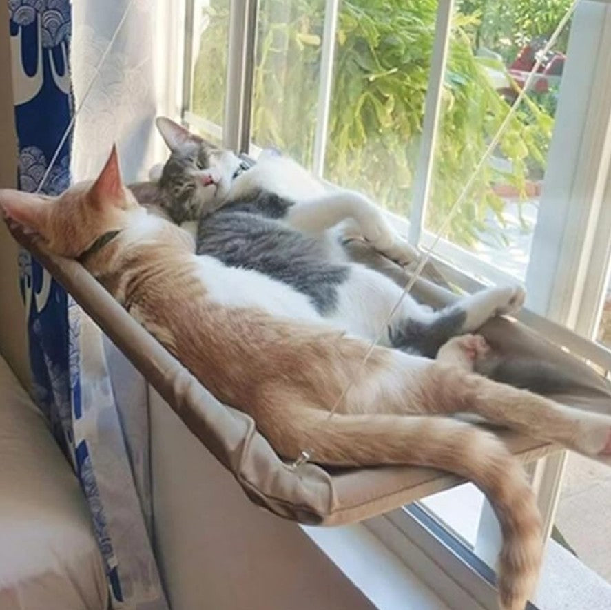 👉 CATVIEW™ – LA HAMACA DE VENTANA QUE TU GATO AMARÁ 😻