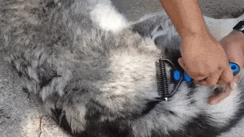 ANTI-NUDOS PRO™ – Cepillo Desenredante para Mascotas sin Dolor.