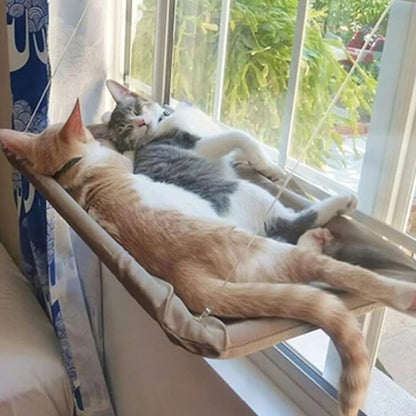 👉 CATVIEW™ – LA HAMACA DE VENTANA QUE TU GATO AMARÁ 😻